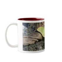 Luna Moth Coffee Mug