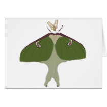Luna Moth cards