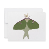 Luna Moth invitations by jarnolddesign Luna Moth invitations
