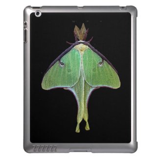 Luna Moth iPad 2/3/4 Case iPad Cases