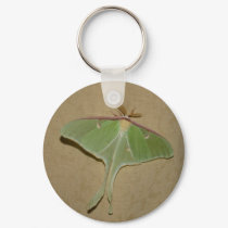 Luna moth keychains by coolcreatures Luna moth keychains
