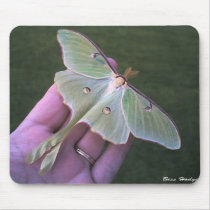 Luna Moth Mouse Pad mousepads by Bessierae Luna Moth Mouse Pad mousepads