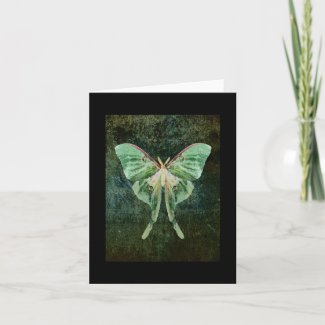 Luna Moth Note Card