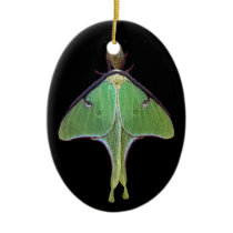 Luna Moth Christmas Ornament