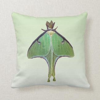 Luna Moth