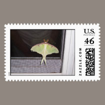 LUNA MOTH postage