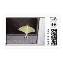 LUNA MOTH postage