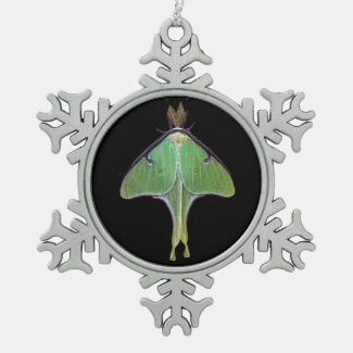 Luna Moth