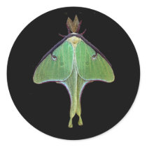 Luna Moth Round Sticker