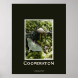 LUNA MOTH & TOADSTOOL POSTER