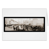 Luna Park Coney Island Photo 1903 cards