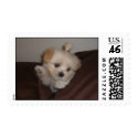 luna postage by testbtauto luna postage