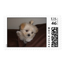 luna postage by testbtauto luna postage