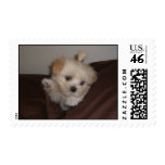 luna postage
