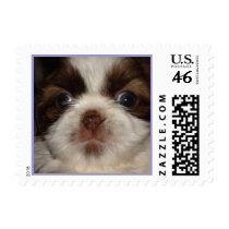 Luna postage by TaraChiu Luna postage