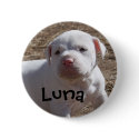 Luna, Saved Puppy buttons