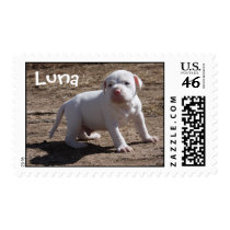 Luna, Saved Puppy postage by beverlytazangel Luna, Saved Puppy postage