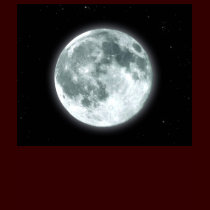 'LUNA" T-shirts, Hoodies & Tops by RavenSpiritPrints 'LUNA" T-shirts, Hoodies & Tops