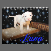 Luna the Saved Abandoned Puppy Dog calendars