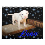Luna the Saved Abandoned Puppy Dog Luna the Saved Abandoned Puppy Dog
