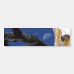 Luna vista de árbol pegatina de parachoque