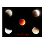 Lunar Eclipse Postcard