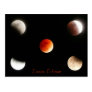 Lunar Eclipse Postcard Lunar Eclipse Postcard
