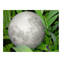 Lunar Garden posters by Mercury7 Lunar Garden posters
