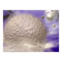 Lunar Texture posters