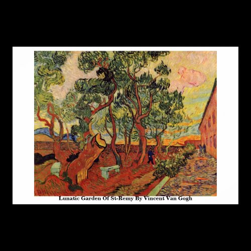 Lunatic Garden Of St-Remy By Vincent Van Gogh Print