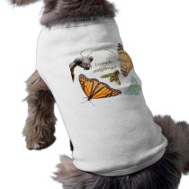 Lunch Anyone dog t pet clothing