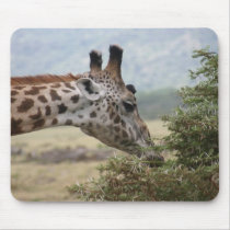 Lunch at the Acacia Tree - Mousepad by dchaddad Lunch at the Acacia Tree - Mousepad