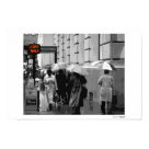postcard - postcard -