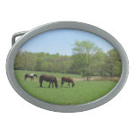 Lunch with Friends - 3 horses Oval Belt Buckle