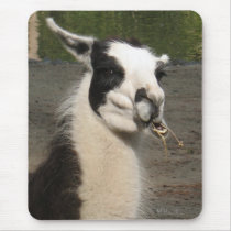 Lunching Llama Mouse Mat