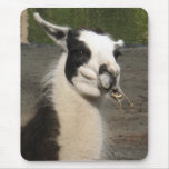 Lunching Llama Mouse Mat