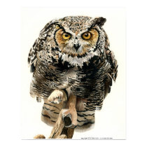 Lunchtime - Great Horned Owl posters