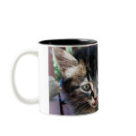 Lunchtime Coffee Mugs
