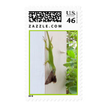 Lunchtime postage