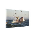 Lunge Feeding Humpback Whales Wrapped Canvas Print