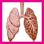 Lungs Poster