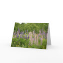 Lupine cards