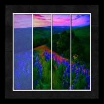 Lupine Meadow Poster posters