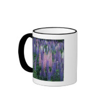 Lupine Mug