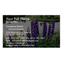 Lupines, downtown Nova Scotia, Canada Business Card Templates