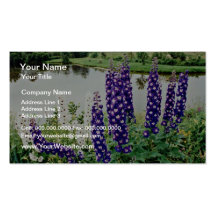 Lupines, downtown Nova Scotia, Canada  flowers Business Cards