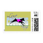 Lure Coursing Basenji postage