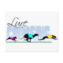 Lure Coursing Dogs Postcards