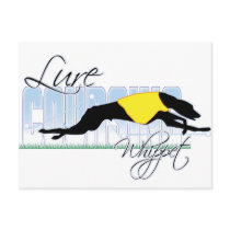 Lure Coursing Whippet Postcards