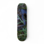 Lurker Skateboard
